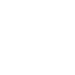 Лондон Лайонс